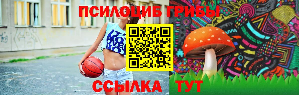 Псилоцибиновые грибы Cubensis  Вход с VPN  Миллерово 